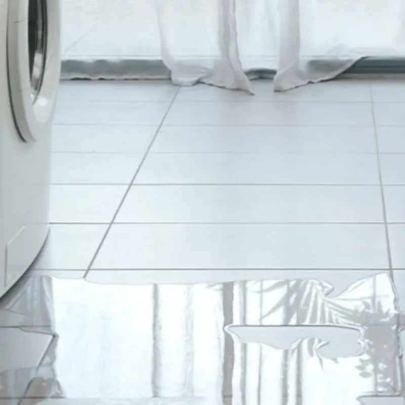 Appliance Leak Cleanup in Camargo, KY