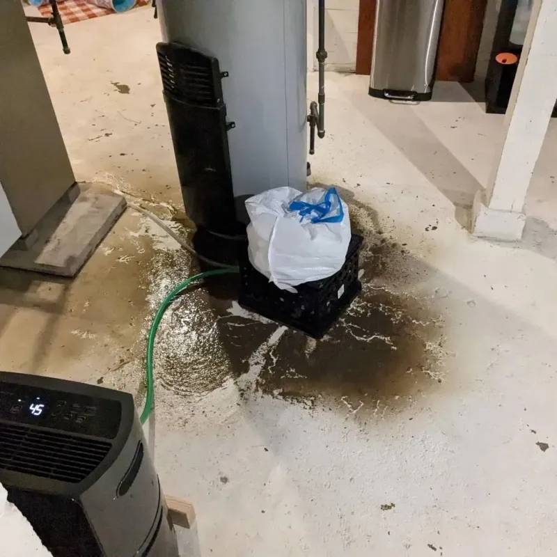 Sewage Backup Cleanup Service in Camargo, KY